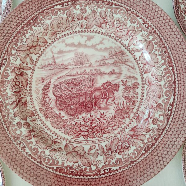 Staffordshire English Ironstone-Set Piatti Vintage da Dessert - immagine 12