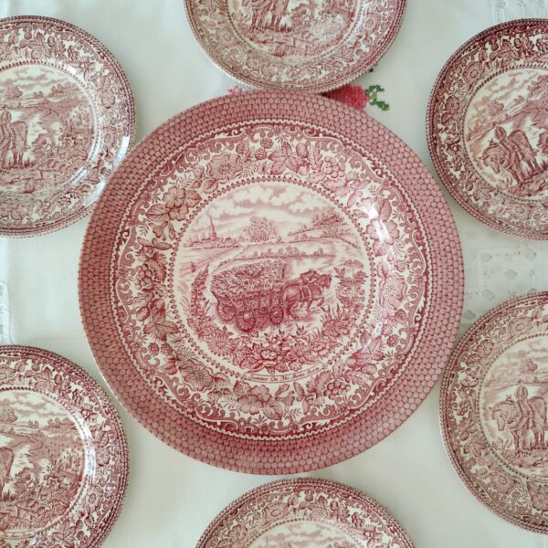 Staffordshire English Ironstone-Set Piatti Vintage da Dessert - immagine 9
