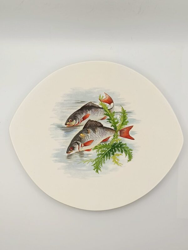 Salins France-Set di Piatti Vintage da Pesce per la Tua Tavola - immagine 4