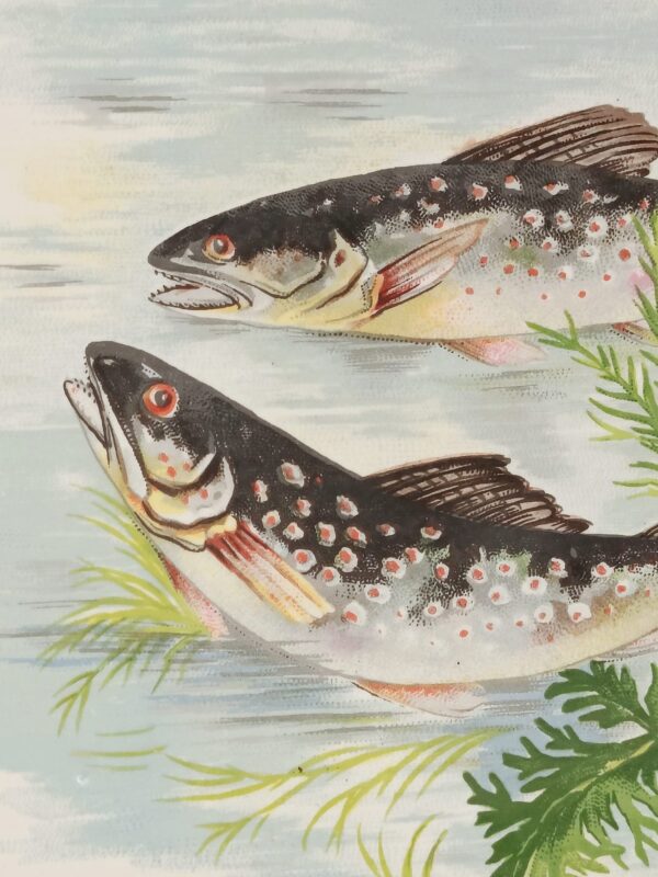 Salins France-Set di Piatti Vintage da Pesce per la Tua Tavola - immagine 5
