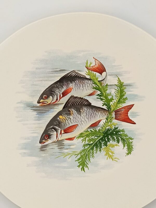 Salins France-Set di Piatti Vintage da Pesce per la Tua Tavola - immagine 8