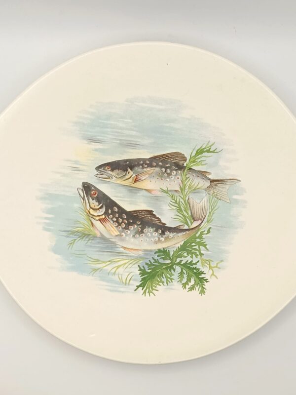 Salins France-Set di Piatti Vintage da Pesce per la Tua Tavola - immagine 10